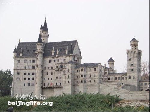 威廉古堡爆料视频大全,独家爆料视频大全深度解析